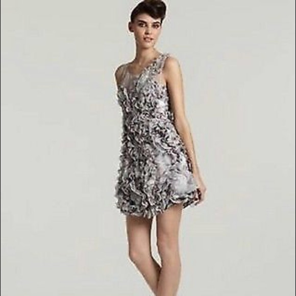 BCBGMaxAzria Dresses & Skirts - BCBGMAXAZRIA EVA Organza Ruffle Dress